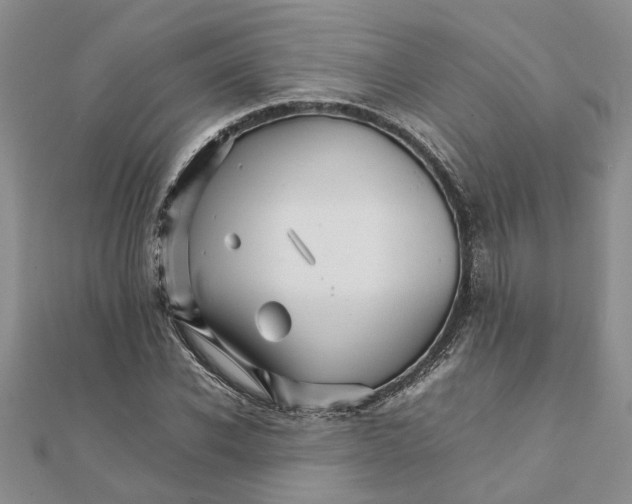 X0000111680926200908141447