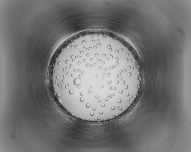 X0000111680927200908141447