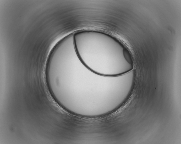 X0000111680928200908141447