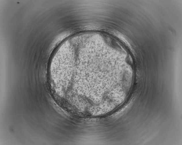 X0000111680930200908141447