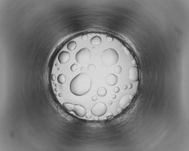 X0000111680931200908141447