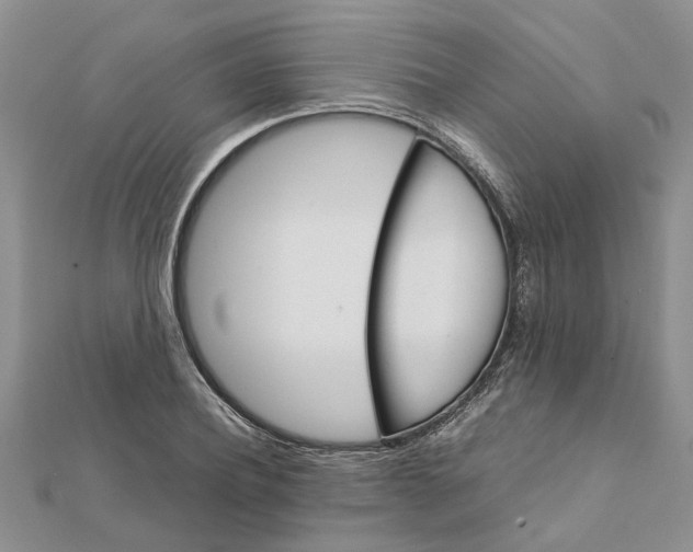 X0000111680932200908141447