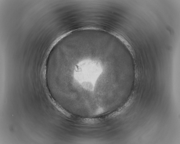 X0000111680933200908141447