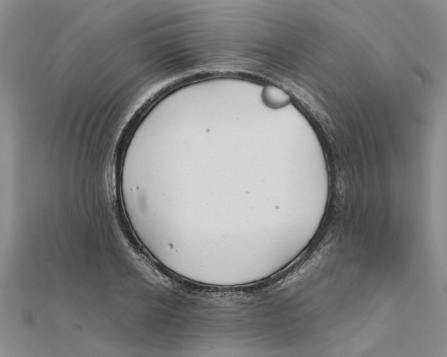 X0000111680934200908141447