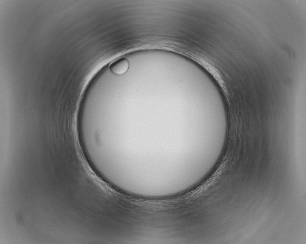 X0000111680936200908141447