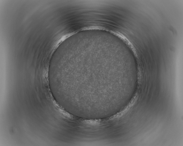 X0000111680937200908141447