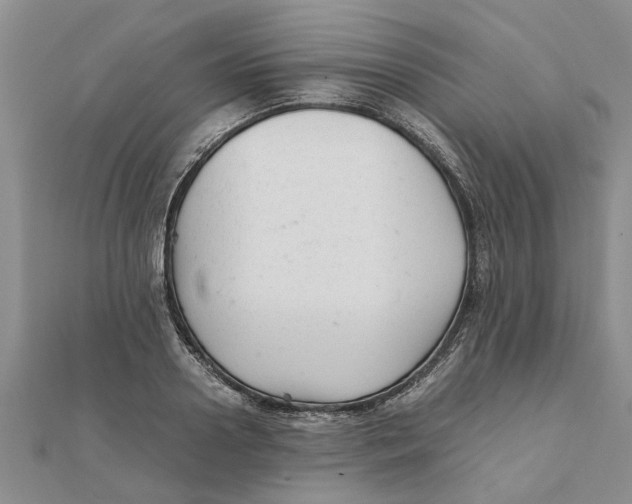 X0000111680938200908141447