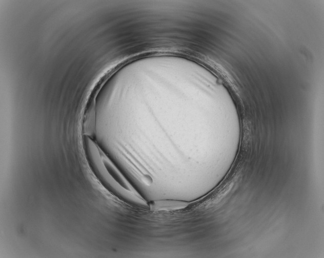 X0000111680939200908141447