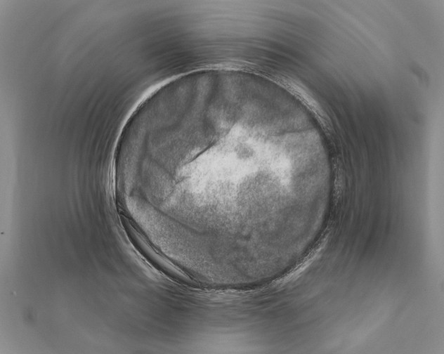 X0000111680940200908141447