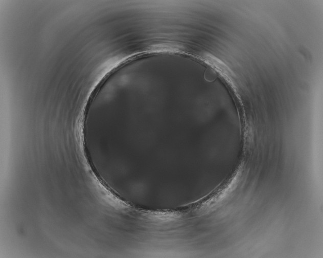 X0000111680941200908141447