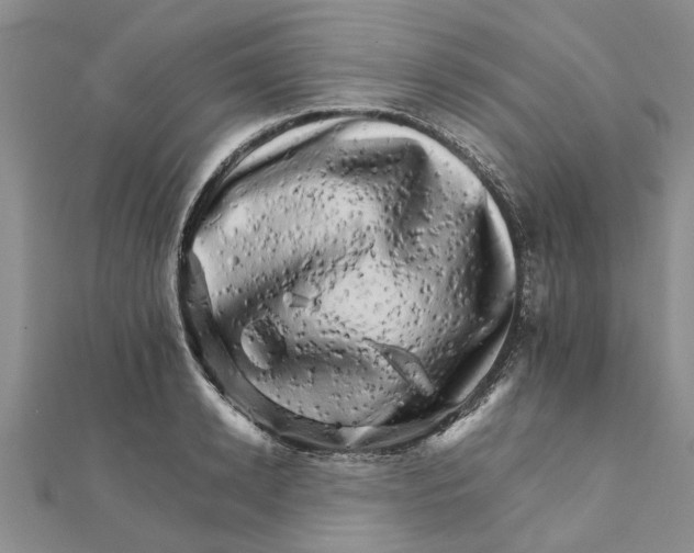 X0000111680942200908141447