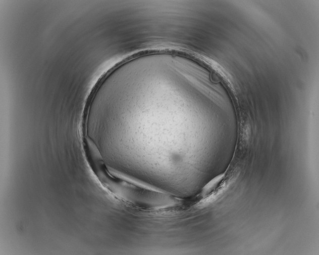 X0000111680943200908141447