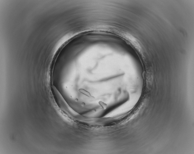 X0000111680944200908141447