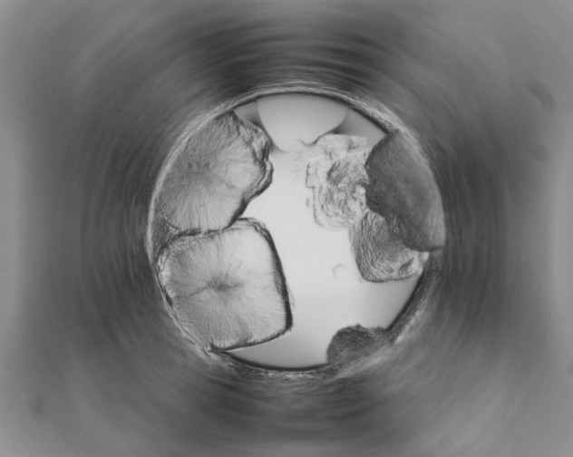 X0000111680945200908141447