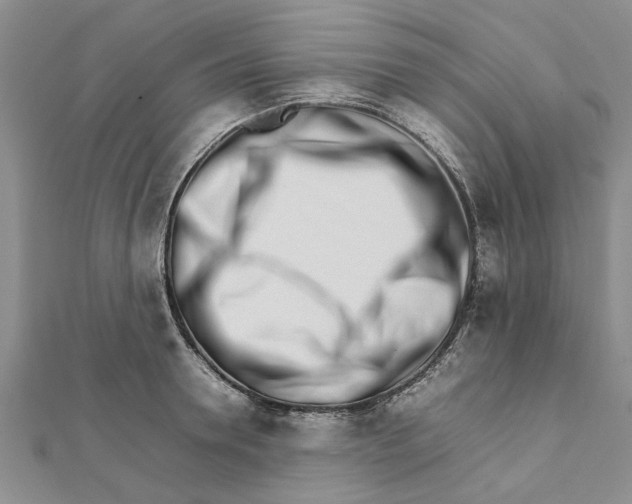 X0000111680946200908141447