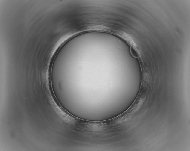 X0000111680947200908141447