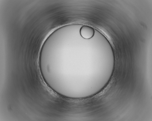 X0000111680948200908141447