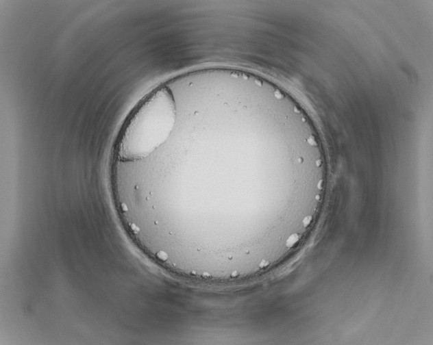 X0000111680950200908141447