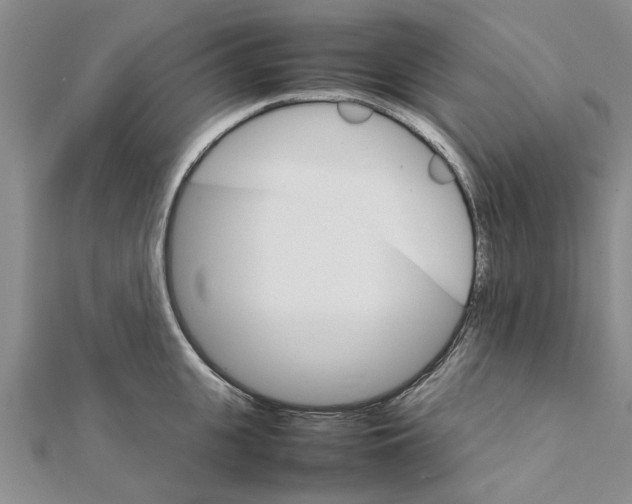 X0000111680951200908141447