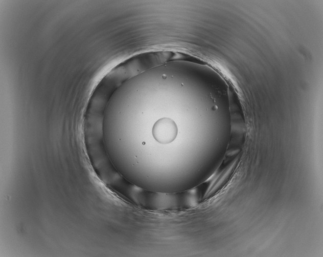 X0000111680952200908141447