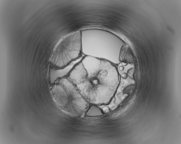 X0000111680953200908141447