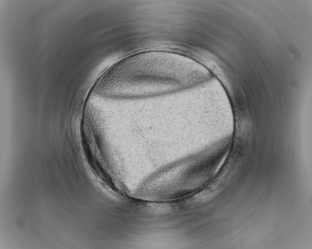 X0000111680954200908141447