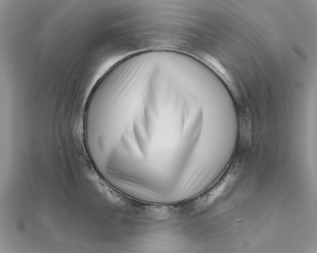 X0000111680956200908141447