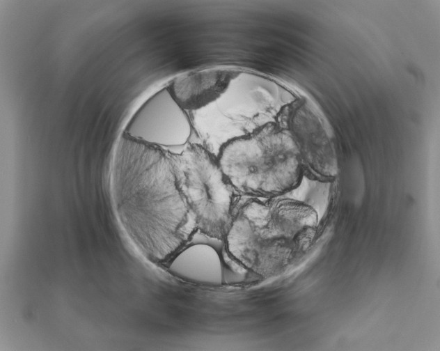 X0000111680957200908141447