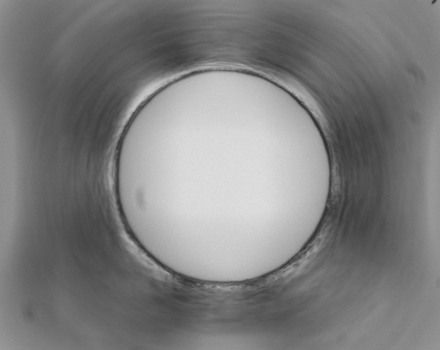 X0000111680958200908141447