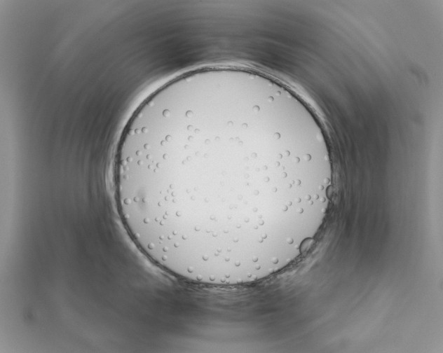 X0000111680959200908141447