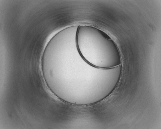 X0000111680960200908141447