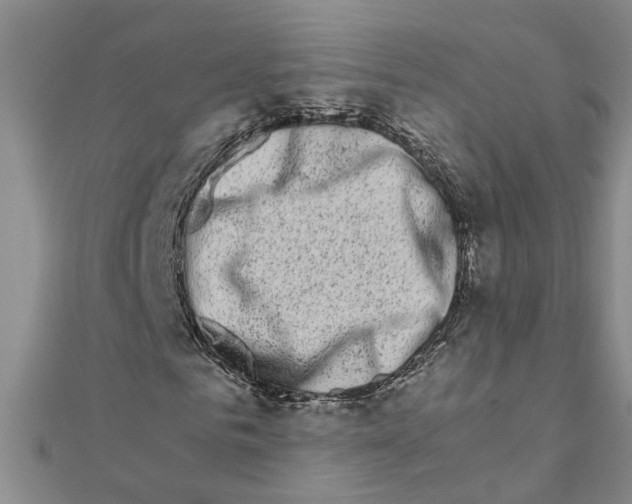 X0000111680961200908141446