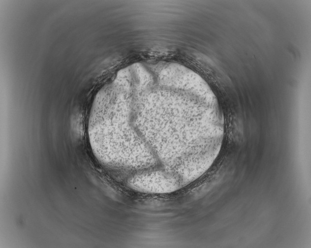 X0000111680962200908141446