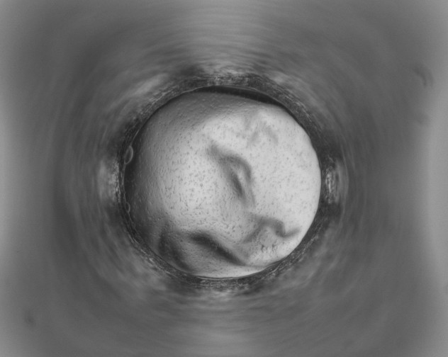 X0000111680963200908141446