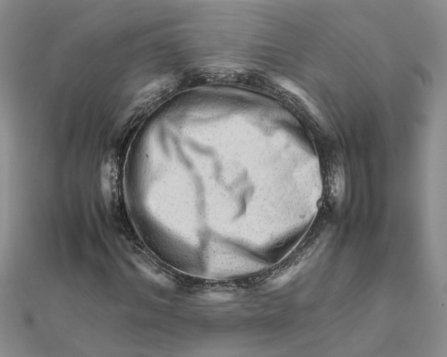 X0000111680964200908141446