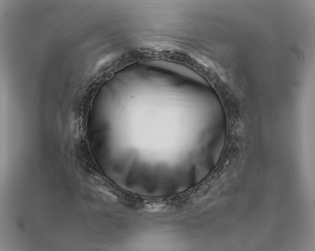 X0000111680965200908141446