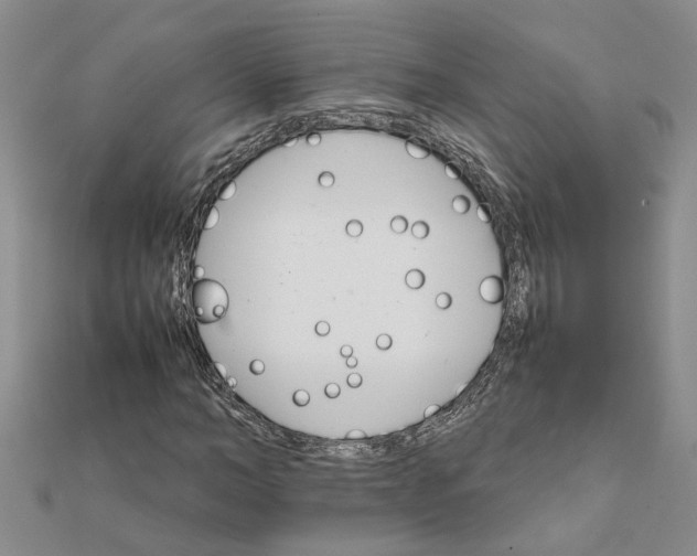 X0000111680966200908141446