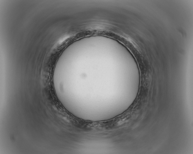 X0000111680967200908141446