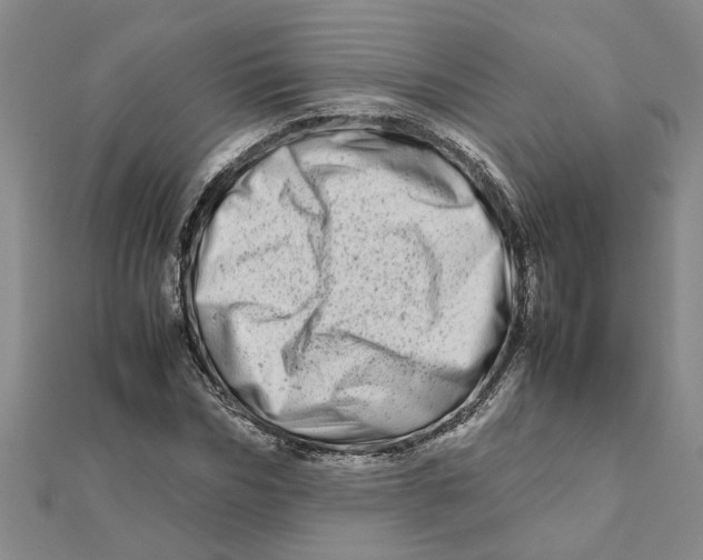 X0000111680970200908141446