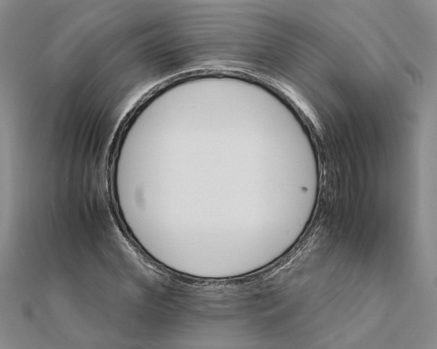 X0000111680972200908141446