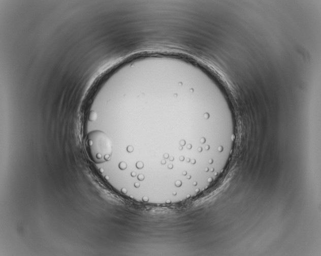 X0000111680974200908141446