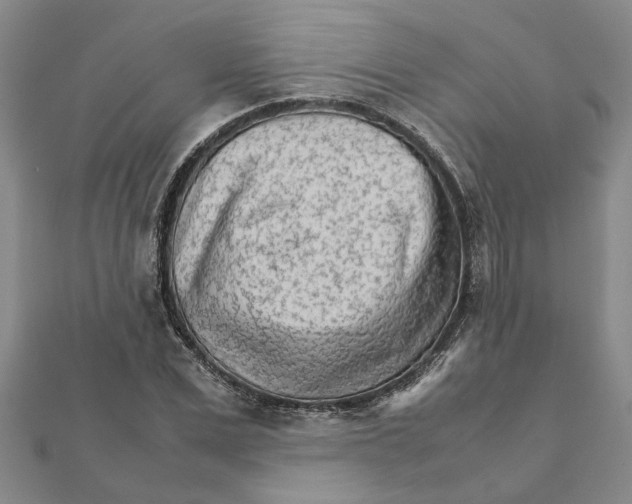 X0000111680975200908141446