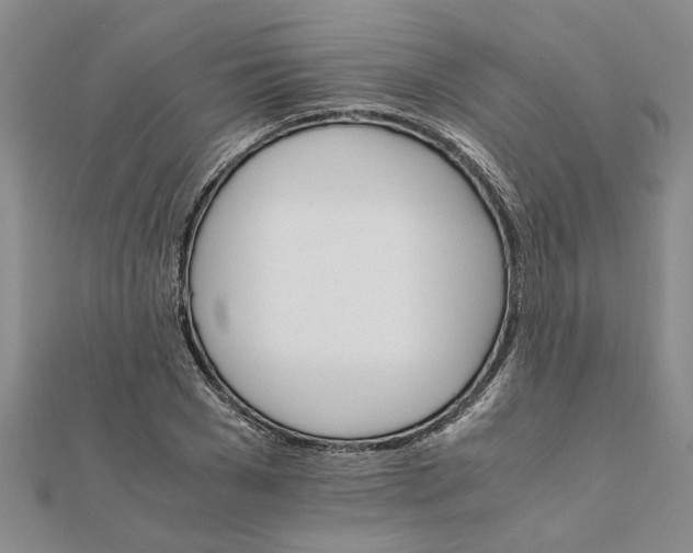 X0000111680977200908141446