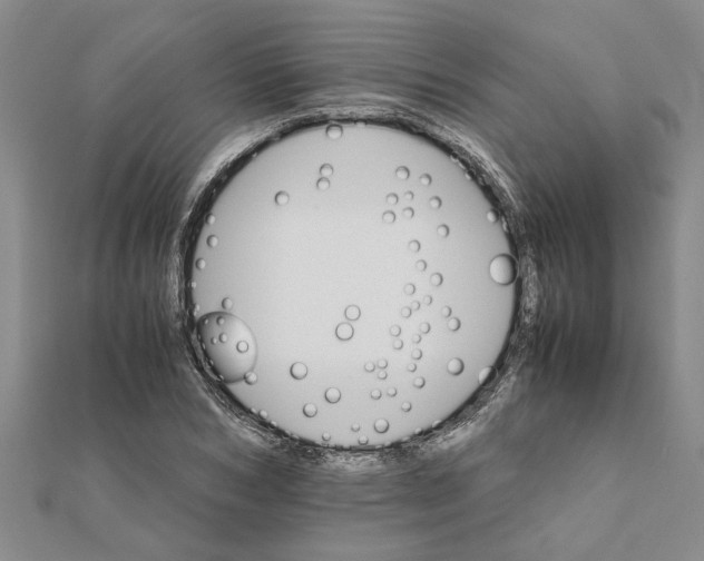 X0000111680978200908141446