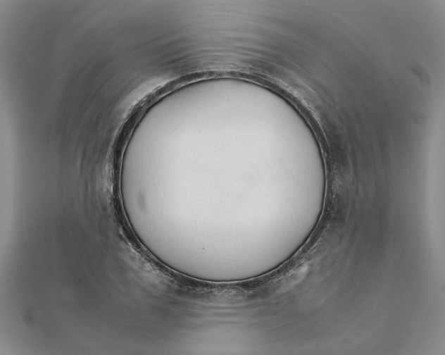 X0000111680979200908141446