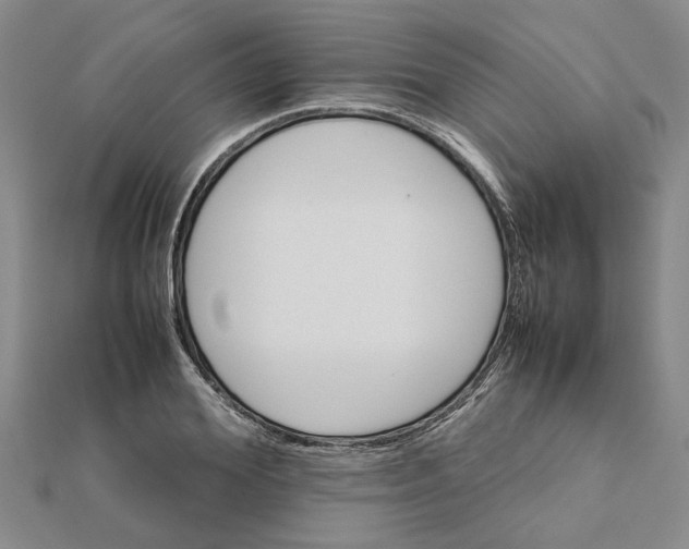 X0000111680980200908141446