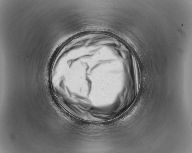 X0000111680981200908141446