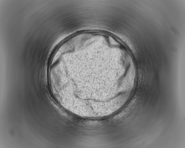 X0000111680982200908141446