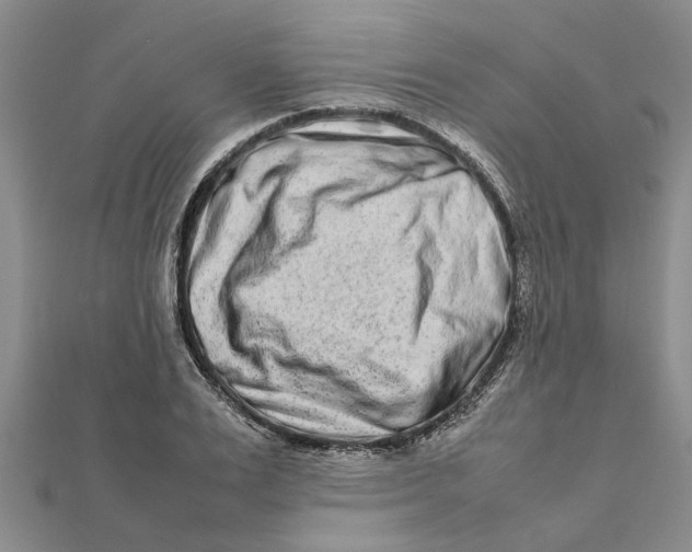 X0000111680983200908141446