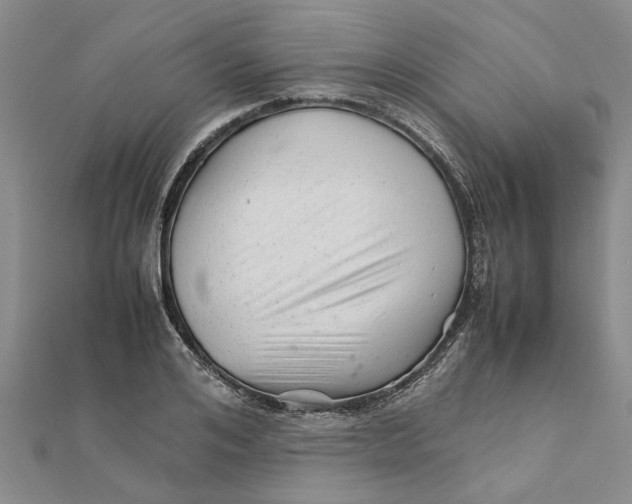 X0000111680984200908141446